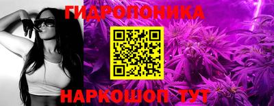 молекула духа Среднеуральск