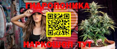 молекула духа Среднеуральск