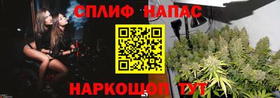 шишки Старая Купавна