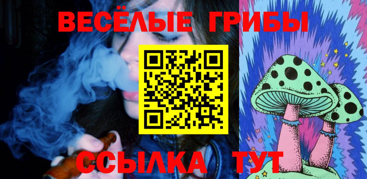 цены   Псилоцибиновые грибы GOLDEN TEACHER  Норильск  Вход с VPN  Галлюциногенные грибы MAGIC MUSHROOMS 